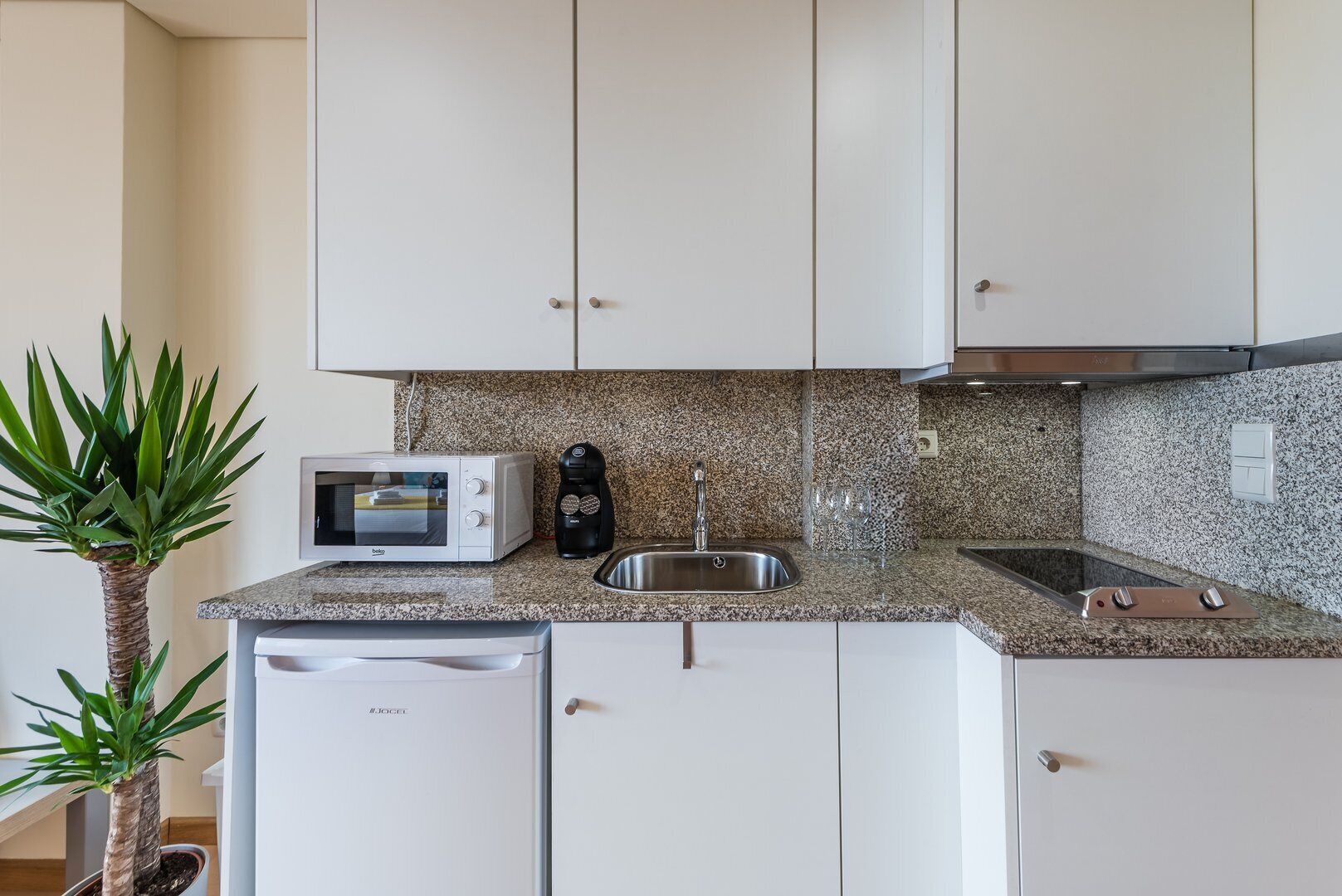 Fridge, microwave, coffee/tea maker