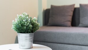 Une plante en pot est posée sur une table blanche dans une pièce où se trouve un canapé gris et un mur de couleur claire.