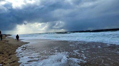 Moin moin hier bei uns im ländlichen Idyll