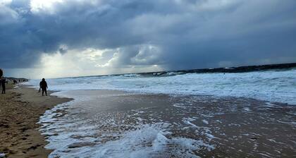 Moin moin hier bei uns im ländlichen Idyll