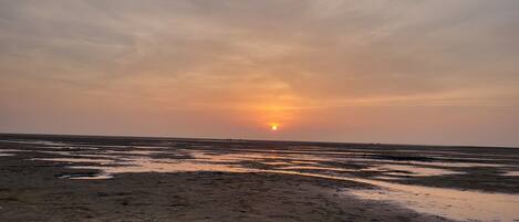Playa en los alrededores y camastros