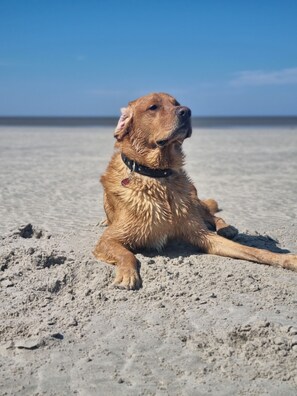 Ubicación cercana a la playa
