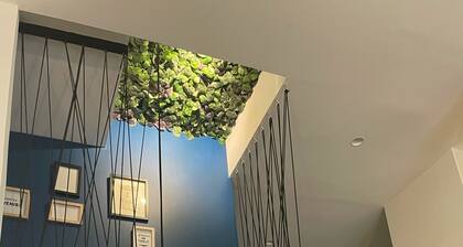 LA NANOU, APPART. LOFT 60m2 - PRIVATE YARD IN THE HISTORICAL CENTER OF DIJON