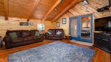 Télévision, cheminée, jeux vidéo, lecteur de DVD