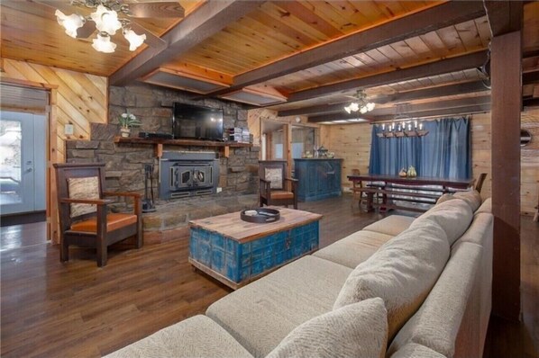 TV, fireplace, video games, DVD player