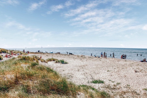 Una spiaggia nelle vicinanze