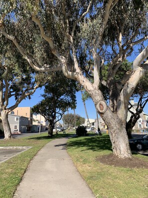 Property grounds - Spacious Beach studio on beachfront with 1 beach parking space in SW HB (Sunset Beach)