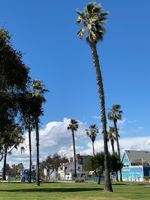 Property grounds - Spacious Beach studio on beachfront with 1 beach parking space in SW HB (Sunset Beach)