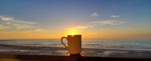 On the beach - 275+ Five Star Reviews True Beachfront Penthouse -Now with Pickleball :) (Corpus Christi)