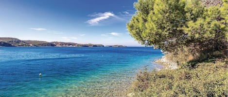 Nära stranden