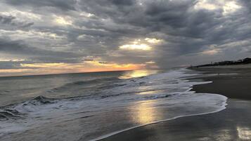 Playa en los alrededores y camastros