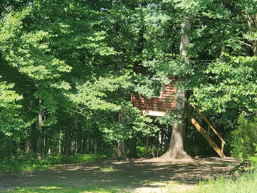 A Private Country Cottage - All To Yourself