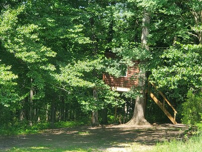A Private Country Cottage - All To Yourself