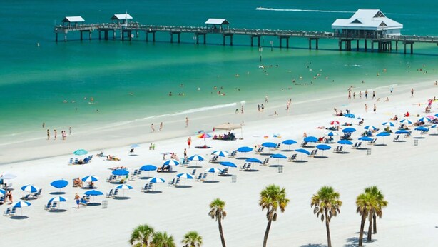 A beach with white sand, blue umbrellas, and palm trees. - 🔆Clearwater Coastal Cottage🔆 newly renovated, near beaches & downtown Dunedin (Clearwater)