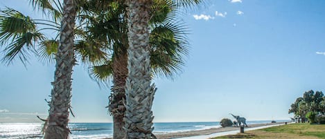 Playa en los alrededores