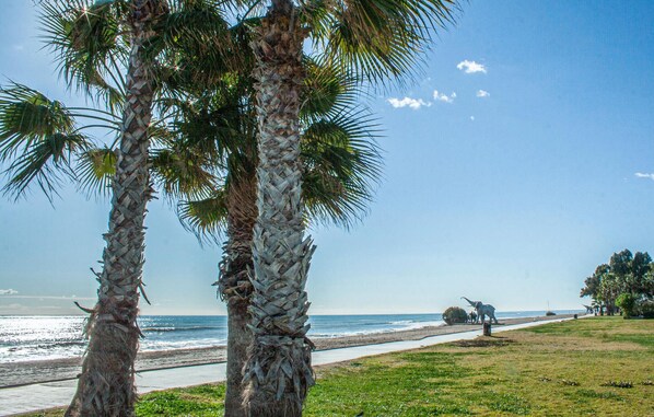 Playa en los alrededores 