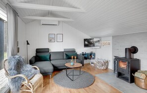 Smart-TV, Kamin