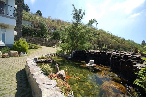 Área da propriedade