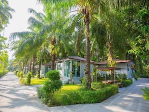 A row of single-story buildings with a paved walkway, surrounded by lush greenery and palm trees.