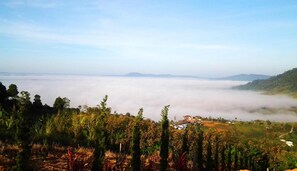 Miscellaneous - Hotel Viewpoint Khao Koh (Khao Kho)