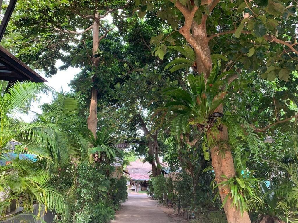 Foto - Koh Tao Heritage