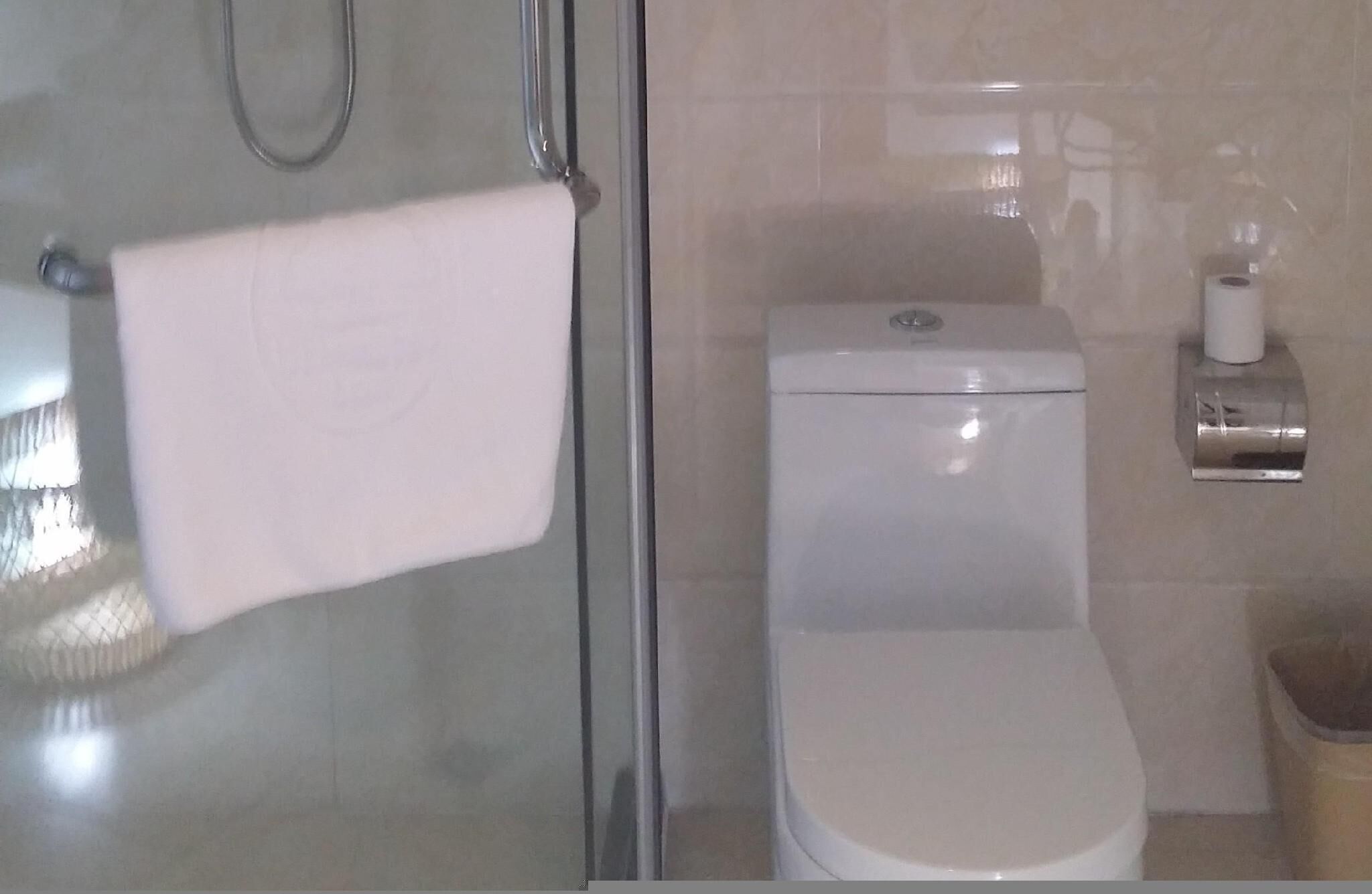 Een badkamer met een glazen douchecabine, een wit toilet en een toiletrolhouder.