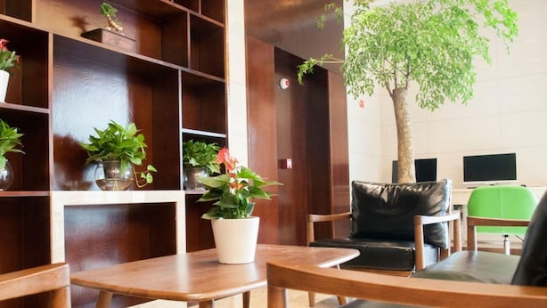 A modern indoor space with wooden furniture, a large tree, and potted plants. - Greentree Inn Jiaxing Haiyan County Passenger Depo (Jiaxing)
