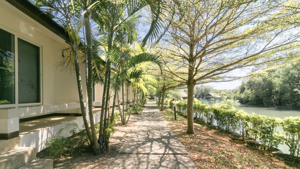 A pathway lined with trees and a body of water, leading to a building with large windows. - Chaiyo Resort Phuket by Zuzu (Wichit)