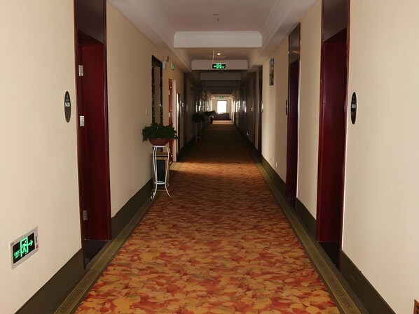 Ein Hotelkorridor mit Teppichböden, rechts und links Türen und einer Pflanze in der Mitte.