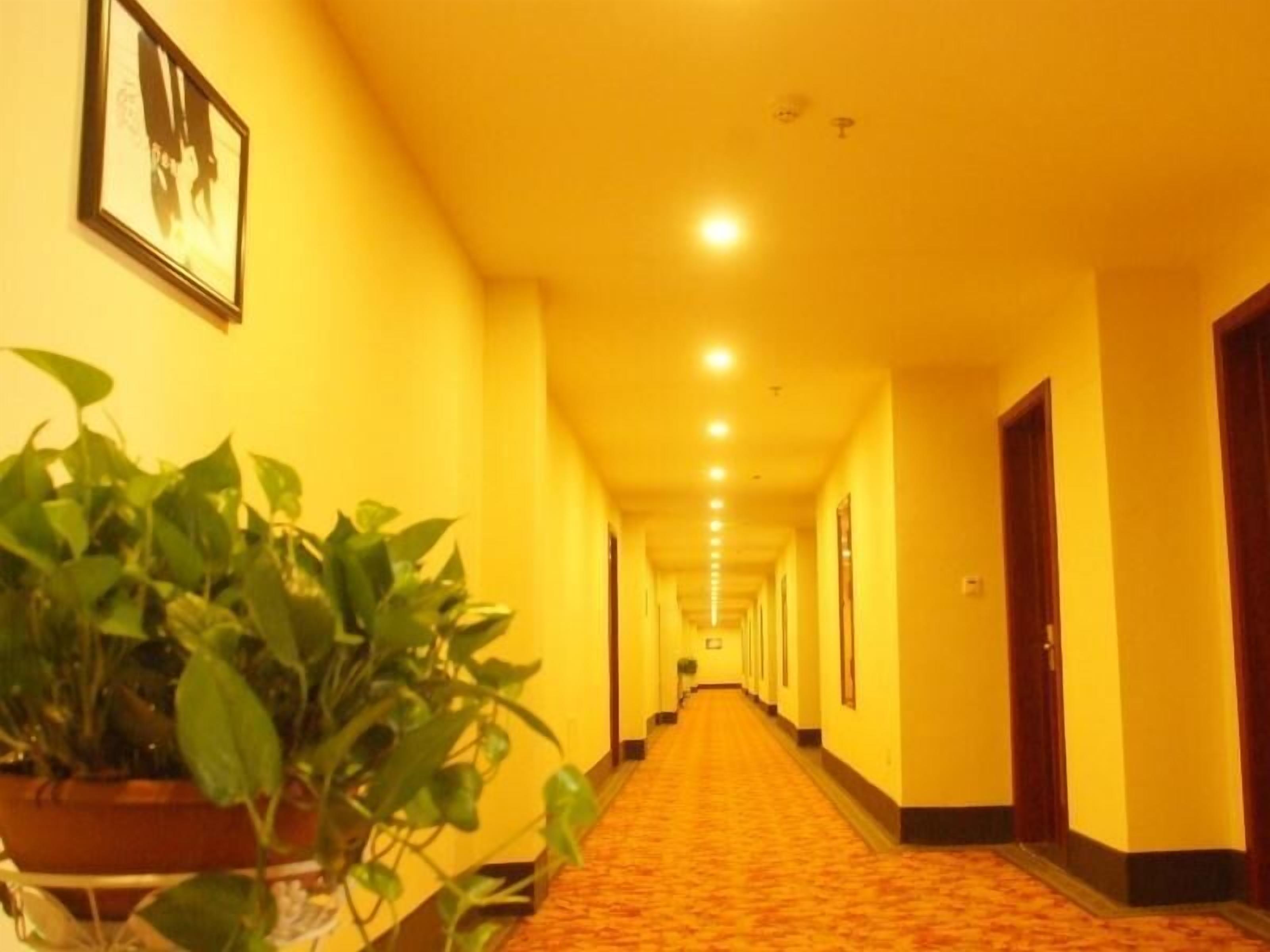 A hotel hallway with a carpeted floor, potted plants, and framed pictures on the walls.