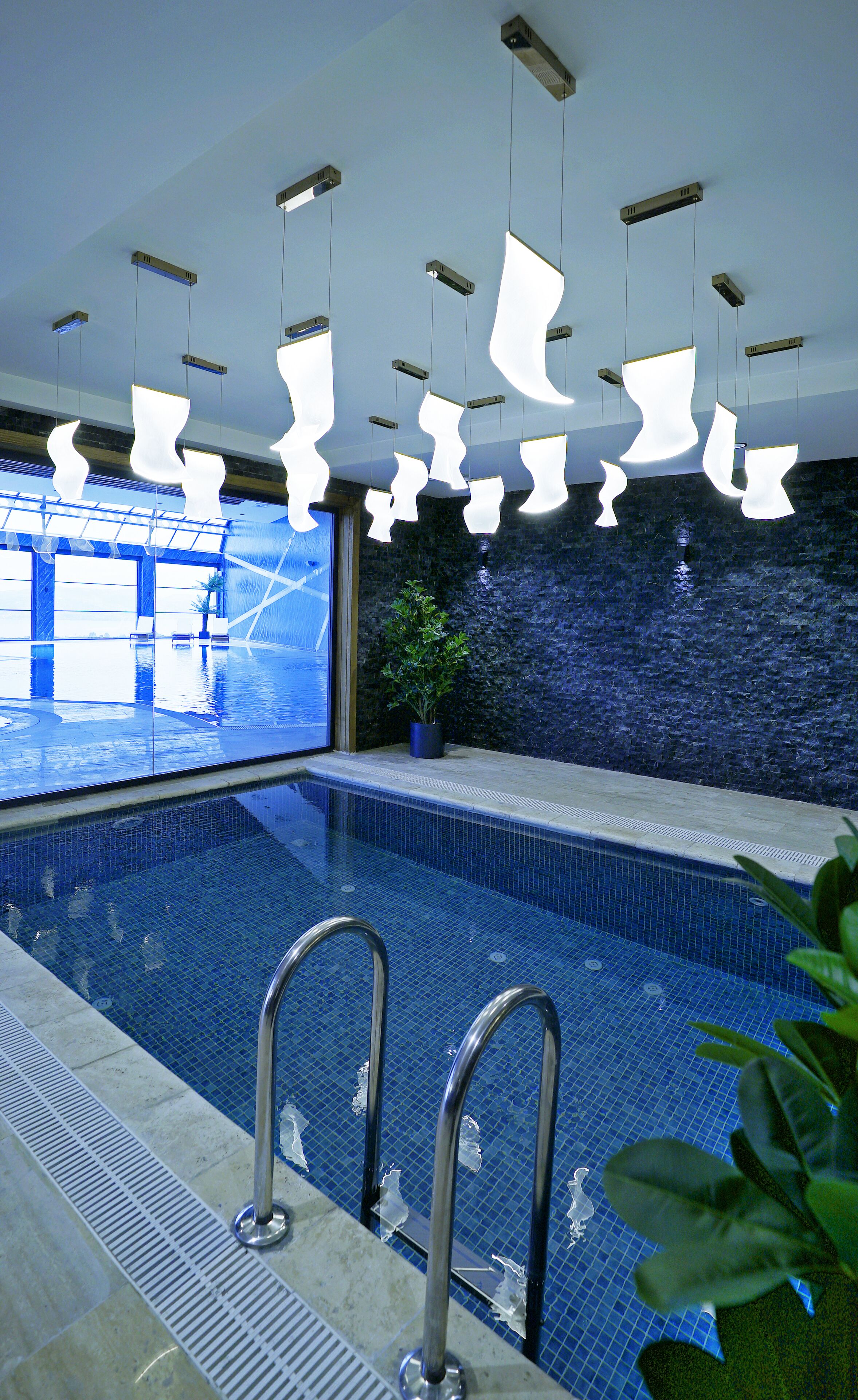 Ein Schwimmbecken mit klarem Wasser, eine Topfpflanze und moderne Deckenleuchten.