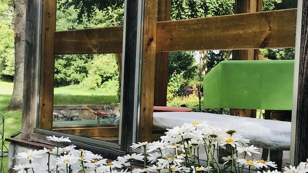 Un banc en bois avec un coussin vert, situé dans un espace extérieur abrité et offrant une vue sur un jardin.