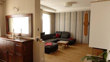 Fernseher, Computerbildschirme