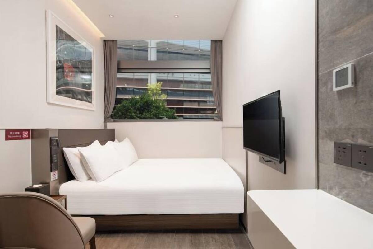 A modern hotel room with a bed, a TV, a window with a view, and a small plant.