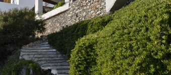 Amorgos the olive garden above the sea II