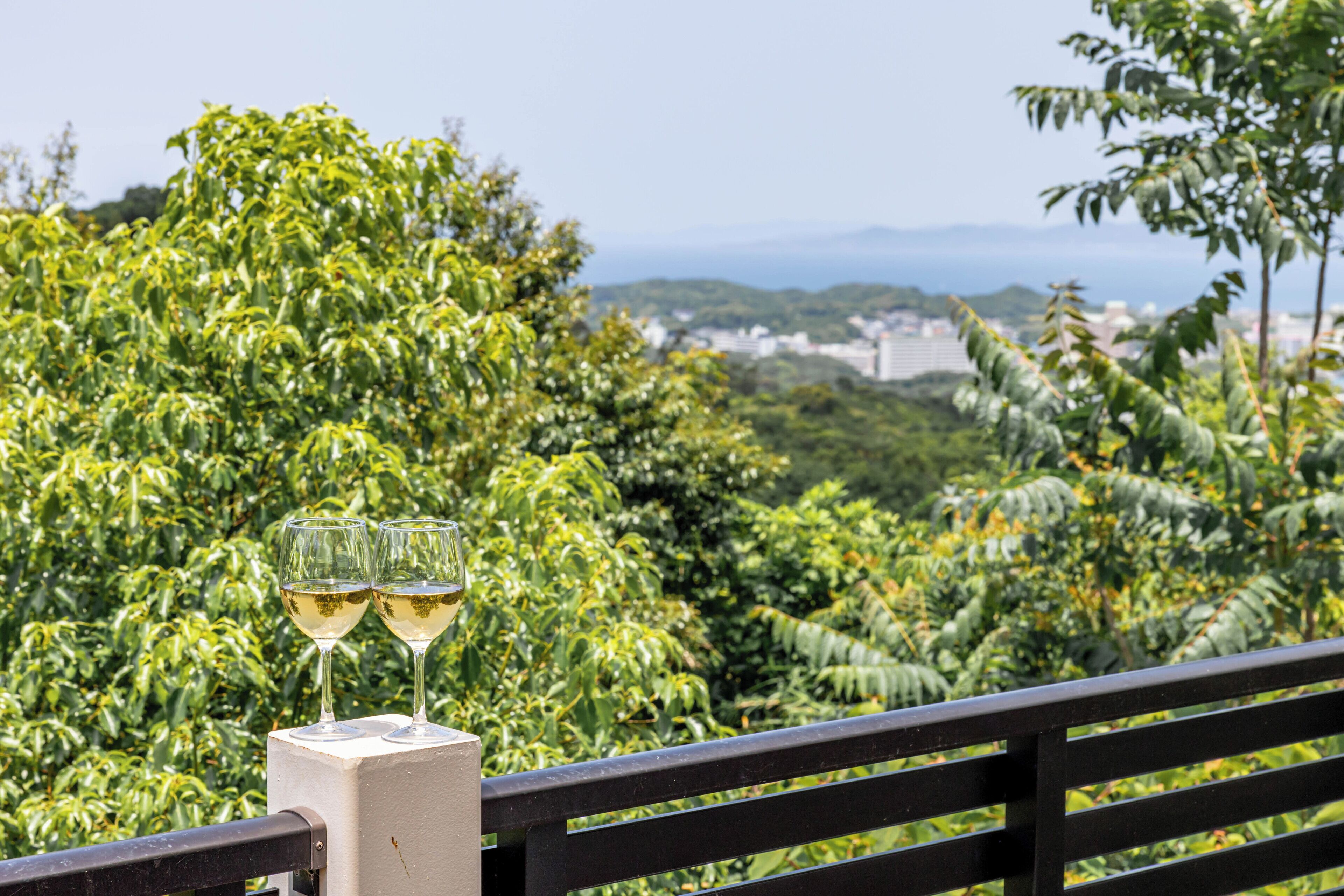 Private Vacation Home, Non Smoking | Terrace/patio