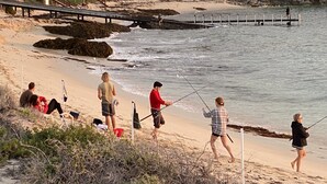 Une plage avec une jetée en bois qui s’avance dans l’eau, des gens qui pêchent et une côte rocheuse.