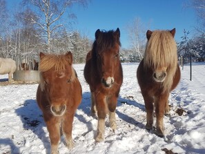Photo non classée, 3 sur 19, bouton
