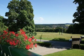 A scenic view of a rural area with a large tree, a field, and a distant village. - Hotel & Café Panorama (Braunlage)