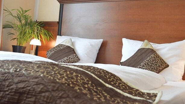 Una cama bien hecha con almohadas estampadas, una planta en la mesita de noche y una lámpara.