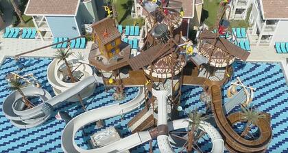 Crystal World of Colours Comfort Collection