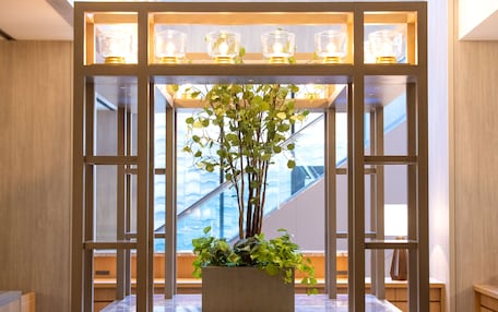 A modern interior with a central potted plant, wooden paneling, and a staircase in the background.