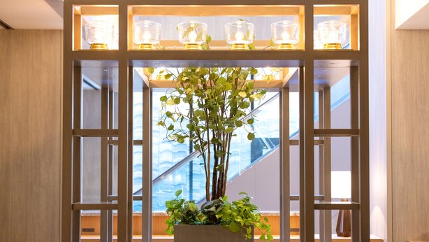 Un intérieur moderne avec une plante en pot placée au centre, un lambris en bois et un escalier en arrière-plan.