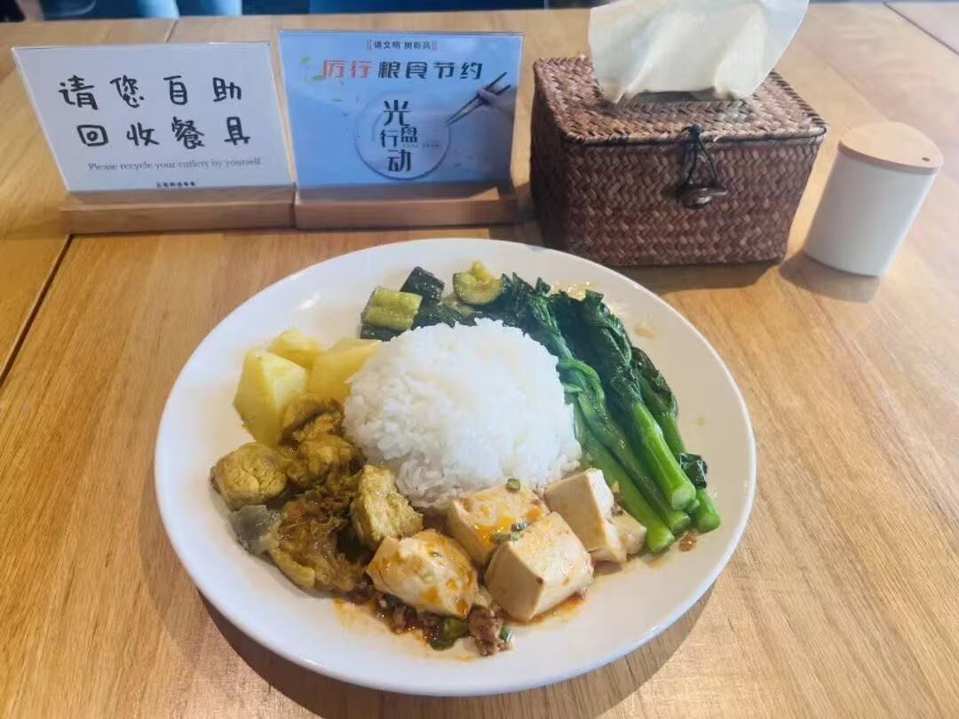 A plate of food with rice, tofu, and vegetables on a wooden table.