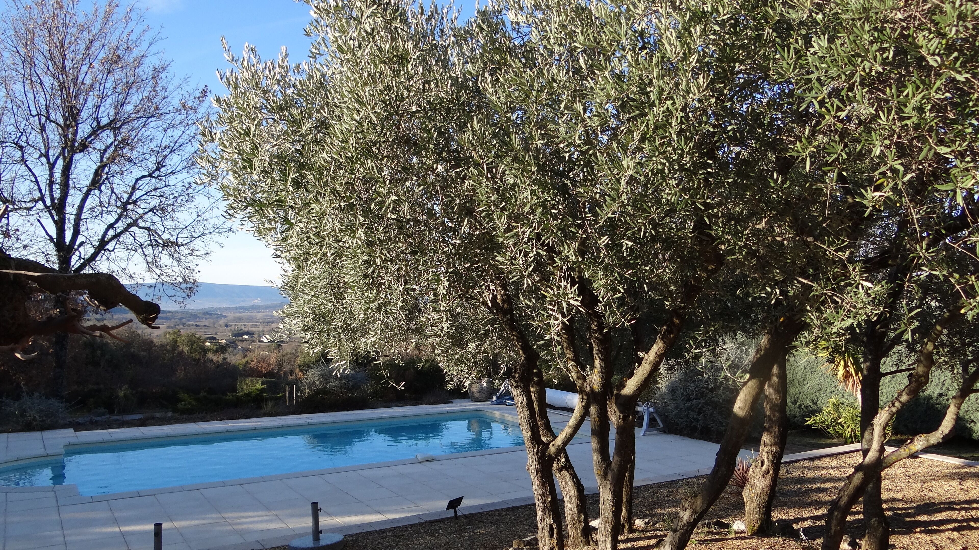 A swimming pool surrounded by olive trees and a view of distant hills.