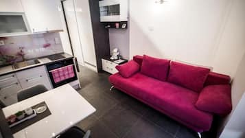 Íbúð (Two-bedroom Apartment) | Stofa | Sjónvarp