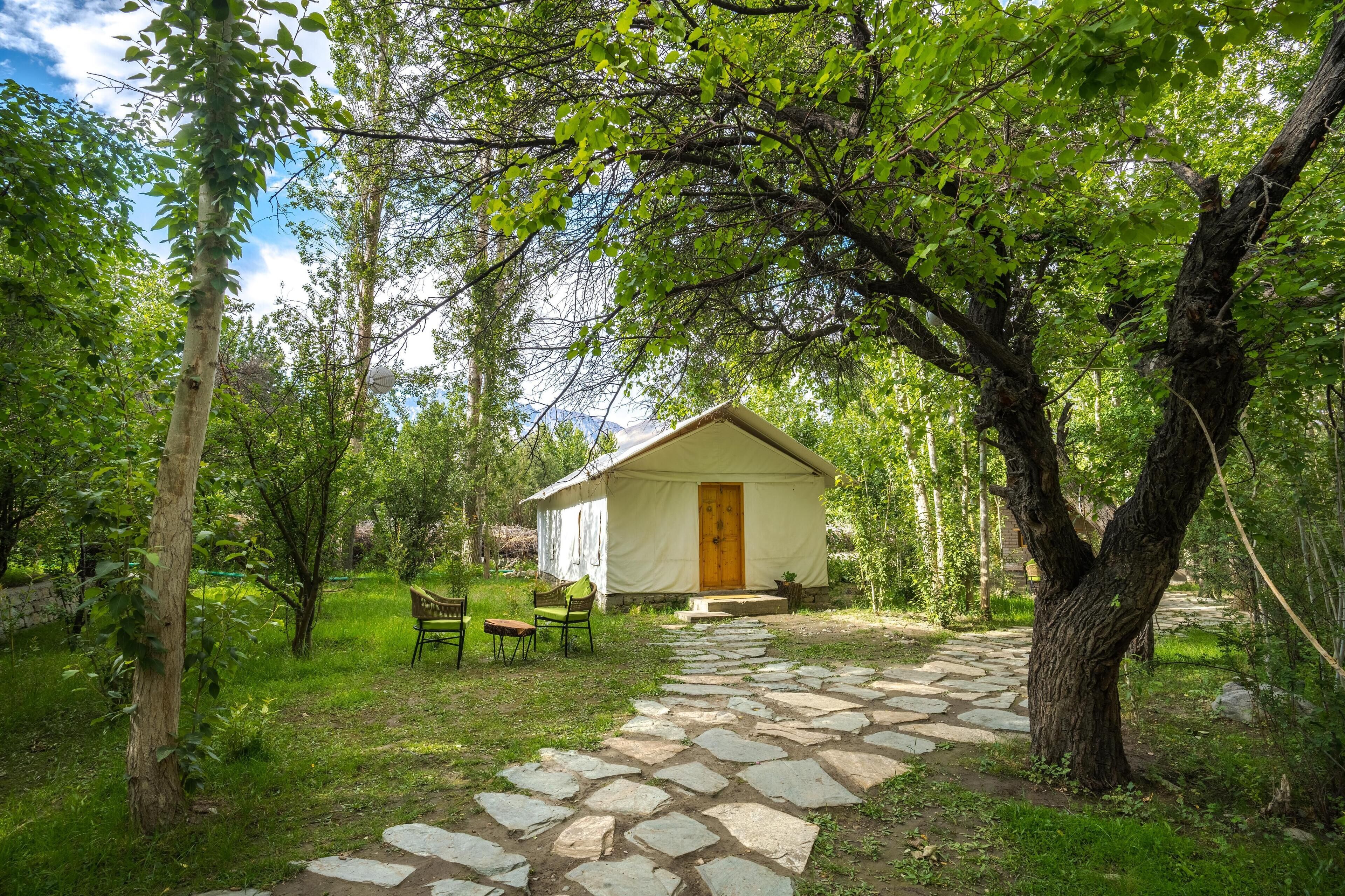 Un chalet rustique en bois, avec un sentier de pierres menant à l’entrée, entouré d’une végétation luxuriante et d’arbres.