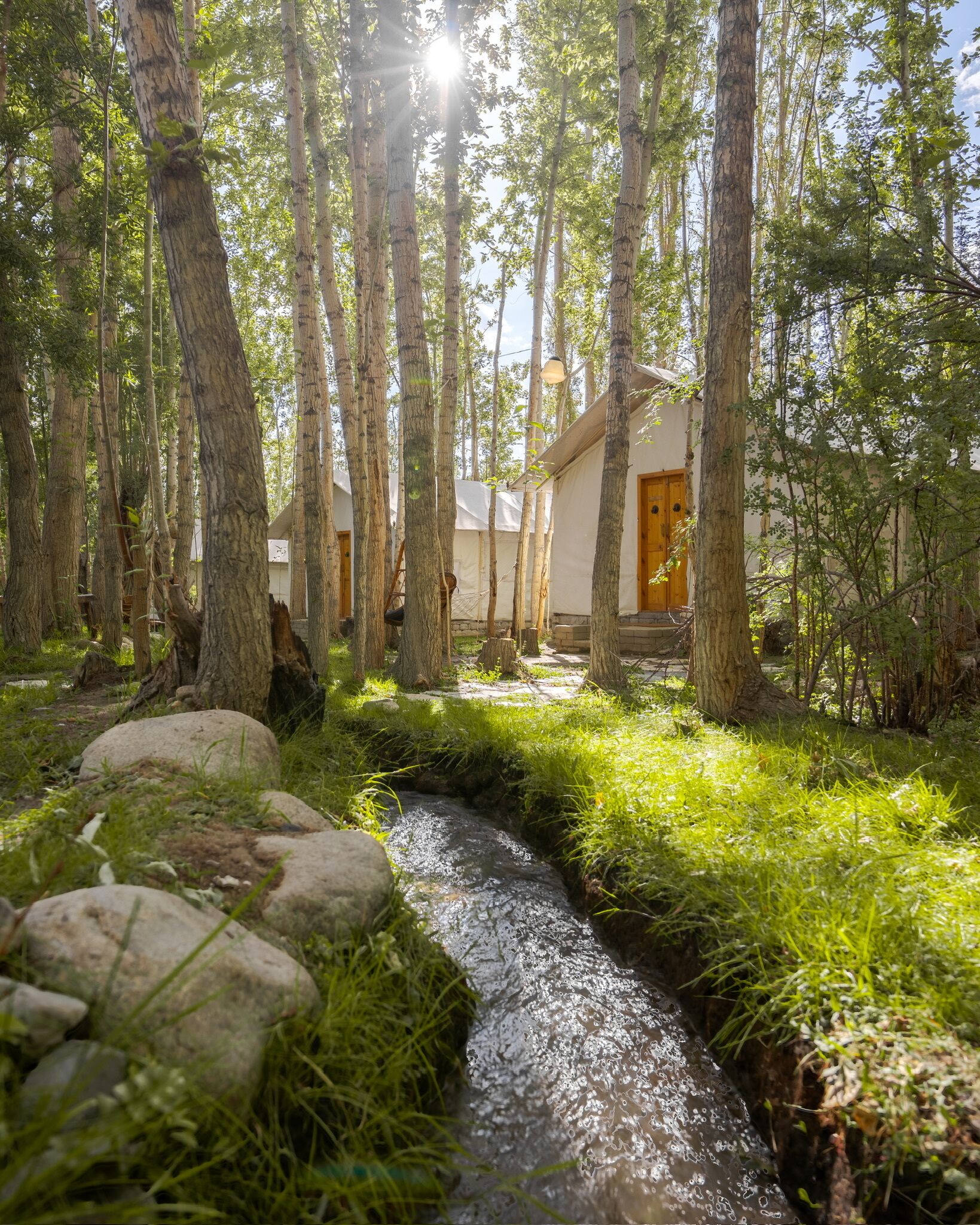 المنطقة المحيطة بالمنشأة