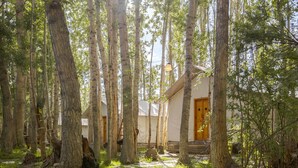 Un área boscosa con un arroyo, una cabaña de madera y una puerta amarilla.