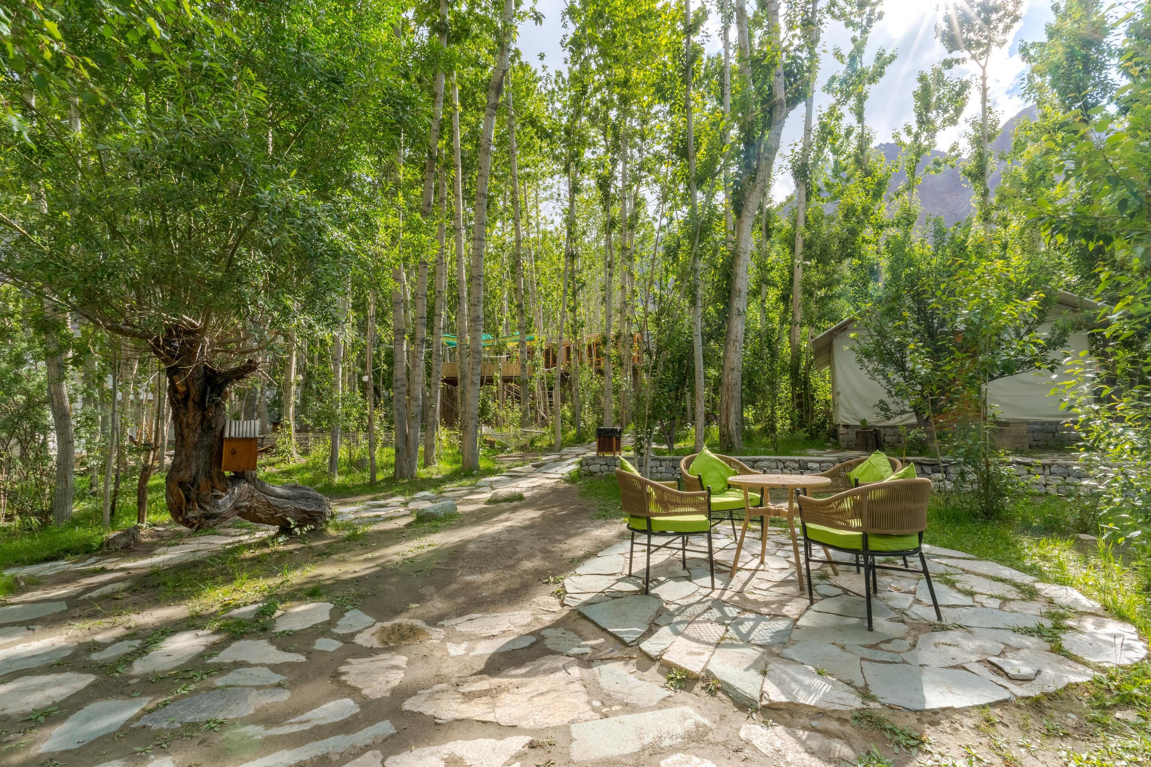 A stone patio with outdoor furniture, surrounded by tall trees and a mountain backdrop.